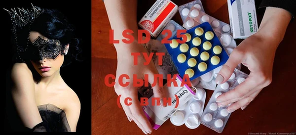 прущие грибы Богородск