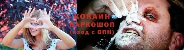 крисы Богданович