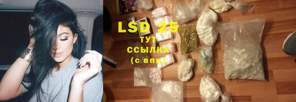 крисы Богданович