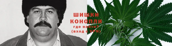 mdma Богородицк