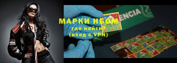 прущие грибы Богородск