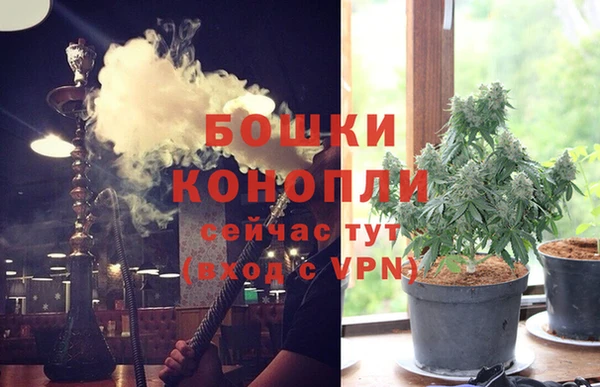 крисы Богданович