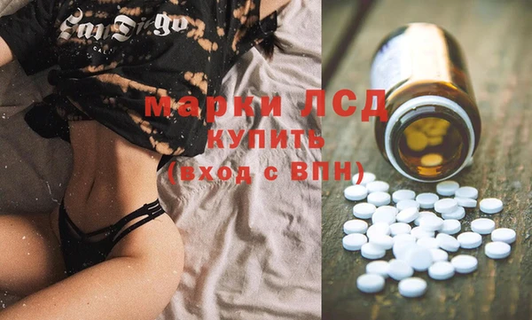 прущие грибы Богородск