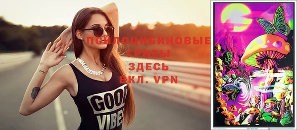 прущие грибы Богородск