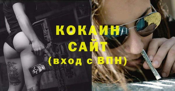 крисы Богданович