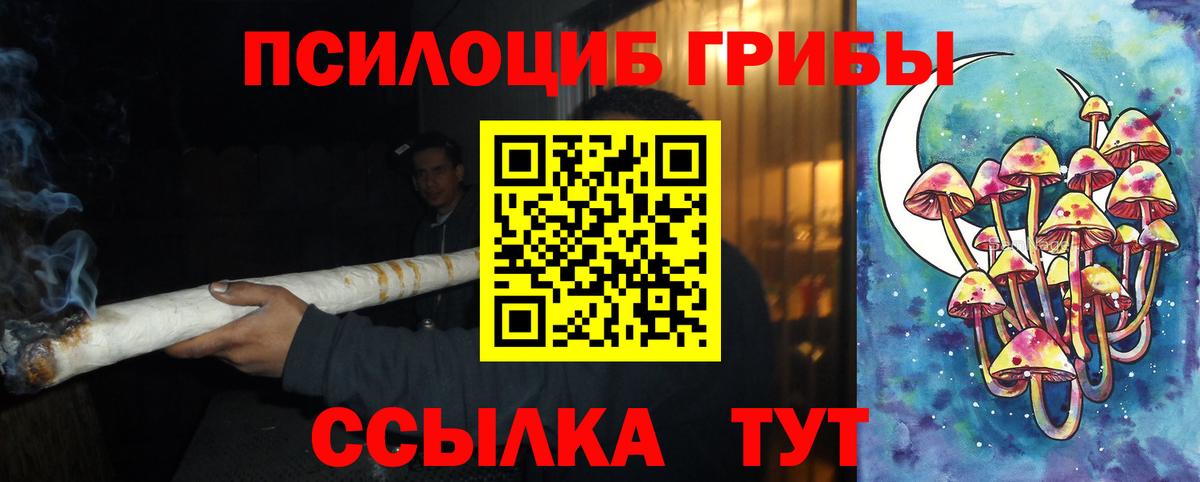Галлюциногенные грибы Psilocybe  Вход с VPN  Галлюциногенные грибы MAGIC MUSHROOMS  Сланцы 